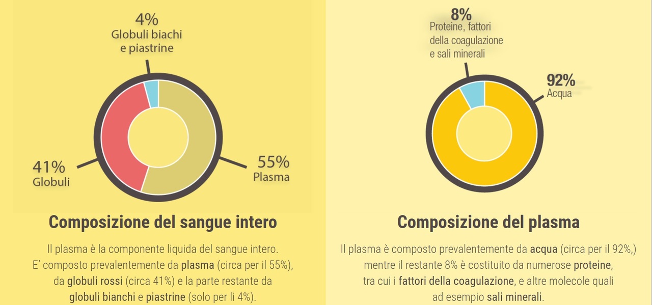 Plasma grafico